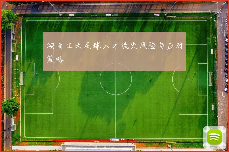 湖南工大足球人才流失风险与应对策略