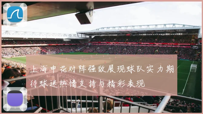 上海申花对阵强敌展现球队实力期待球迷热情支持与精彩表现