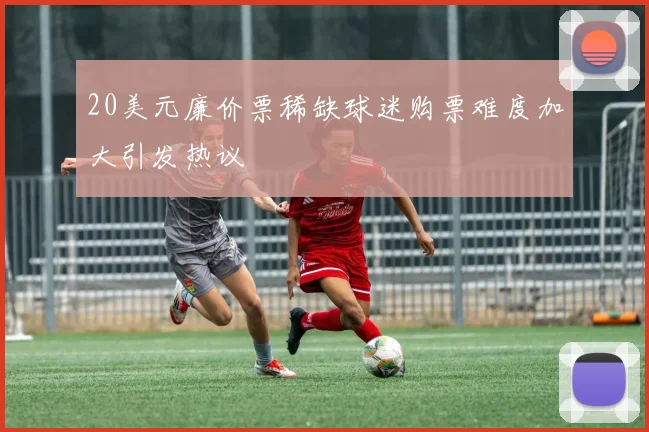 20美元廉价票稀缺球迷购票难度加大引发热议