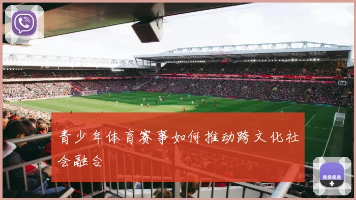 青少年体育赛事如何推动跨文化社会融合