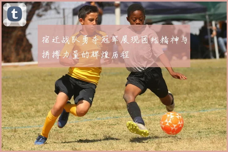宿迁战队勇夺冠军展现团结精神与拼搏力量的辉煌历程