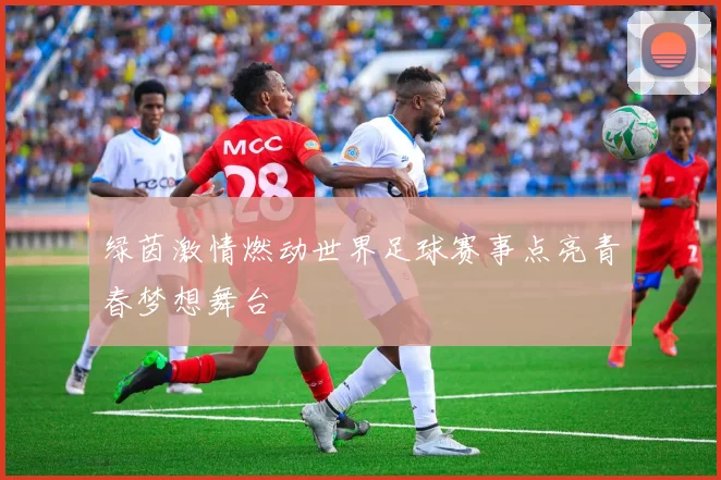 绿茵激情燃动世界足球赛事点亮青春梦想舞台