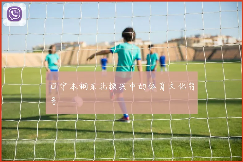 辽宁本钢东北振兴中的体育文化符号