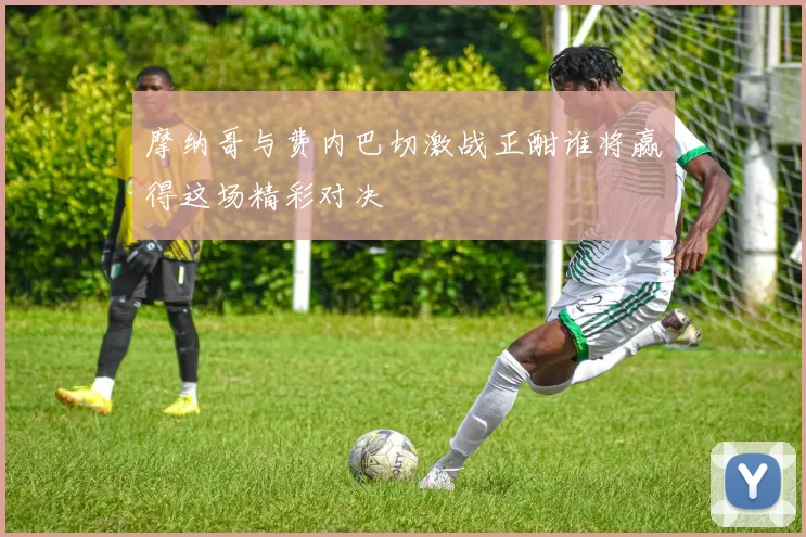 摩纳哥与费内巴切激战正酣谁将赢得这场精彩对决