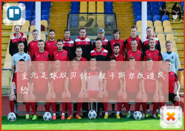 金元足球双刃剑：纽卡斯尔改造风险